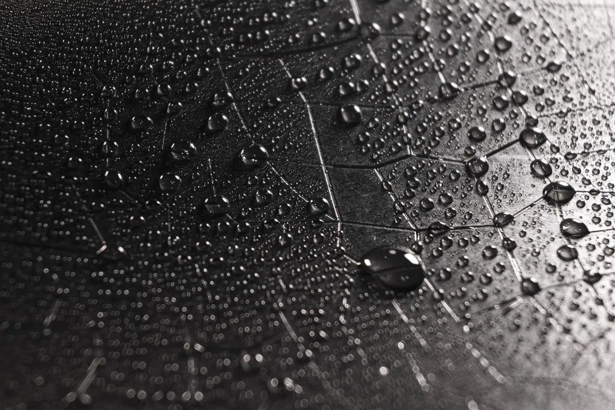 Water beading on a coated technical fabric, macro